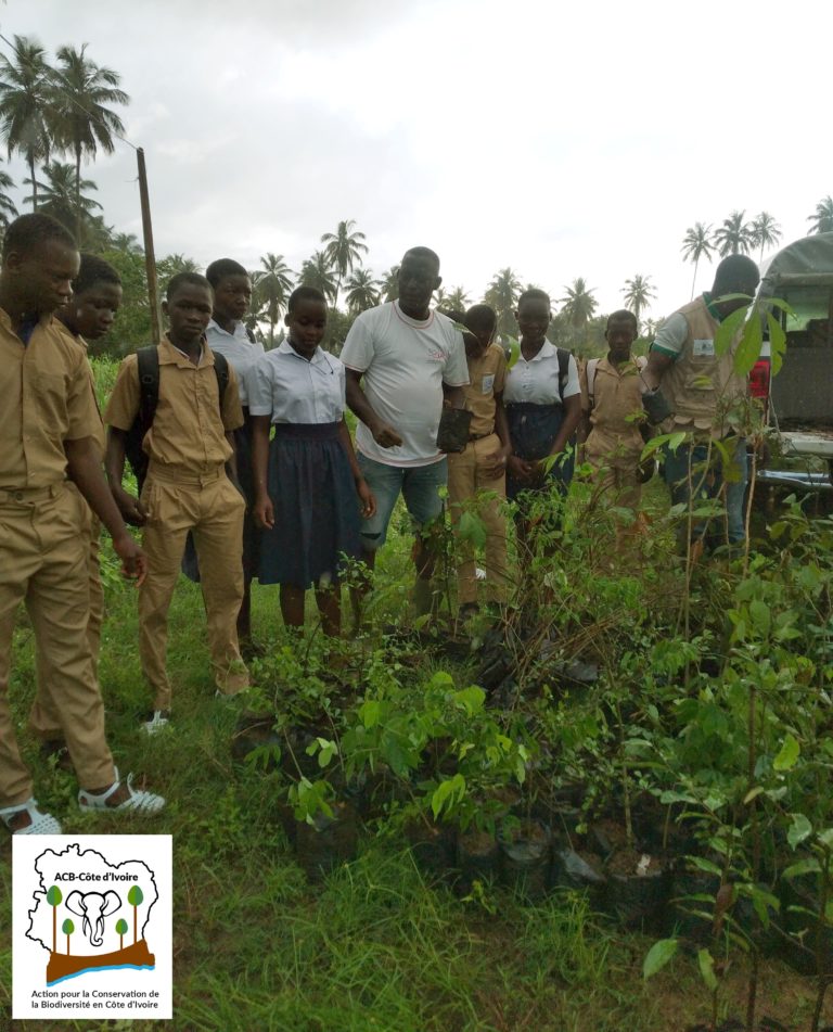 Planting d'arbre par les écoliers