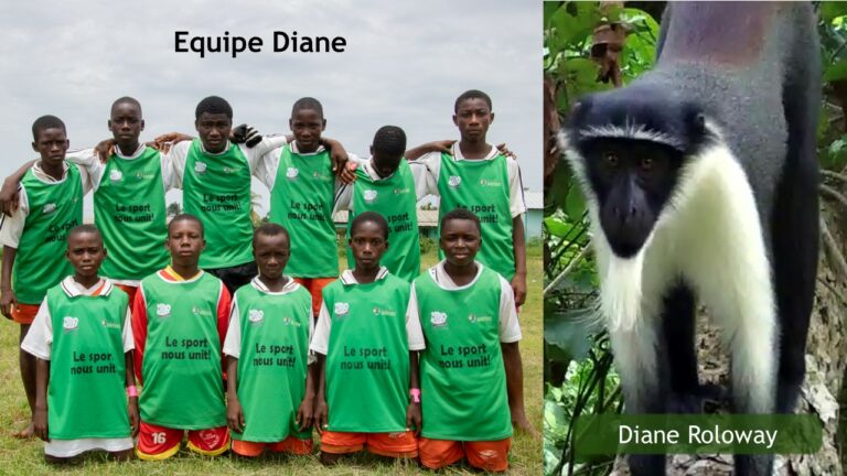 Equipe Diane - EPP Nouamou 2