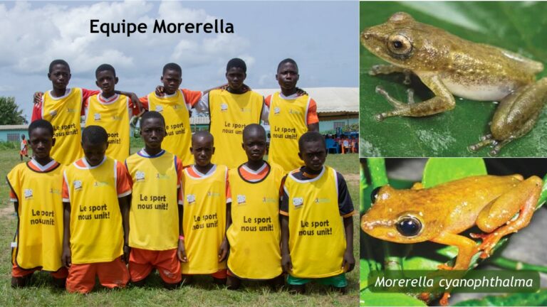 Equipe Morerella - EPP Nouamou 1